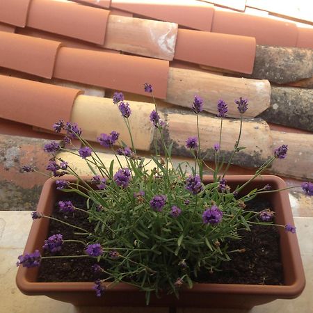 Gerani House Villa Cefalù Eksteriør billede